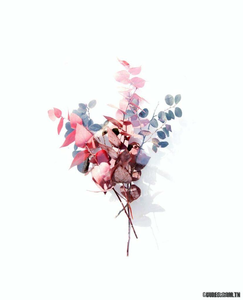 Avantages de l'ail pour les cheveux