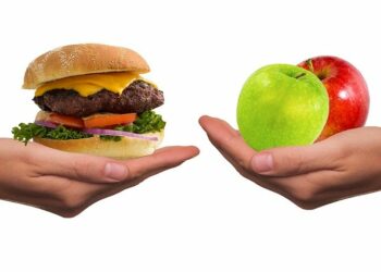 Régime alimentaire cru