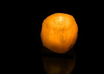 Régime alimentaire et calculs rénaux