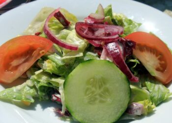 Régime alimentaire et maladie d'Alzheimer