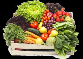 Régime alimentaire pour la boulimie nerveuse