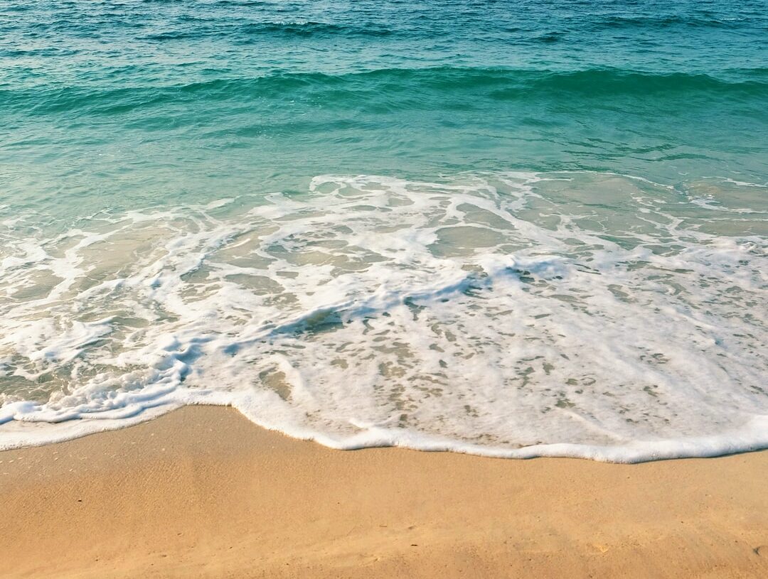 Été 2013 : Team World SUMMER POP SCHOOL est là !