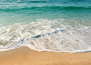 Été 2013 : Team World SUMMER POP SCHOOL est là !