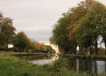 Grossesse et douleur pelvienne chronique : conseils !