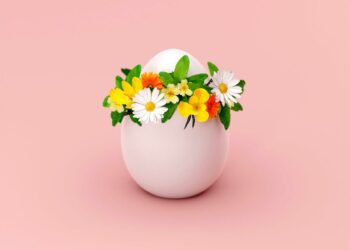 Avantages de la coquille d'œuf pour la peau