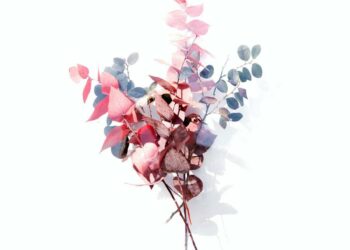 Comment appliquer la poudre contour