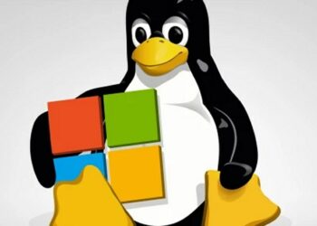 Eseguire programmi Linux su Windows, anche con interfaccia grafica