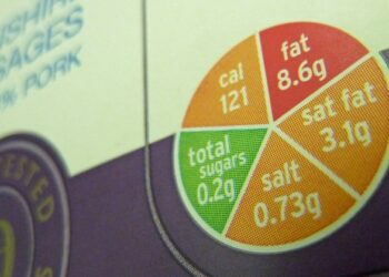 Exemple de régime pour augmenter la masse musculaire