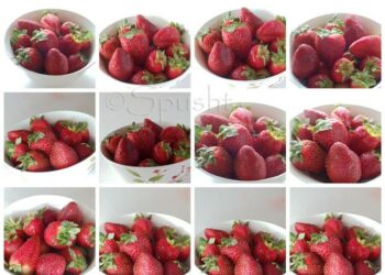 Exemple de régime riche en triglycérides