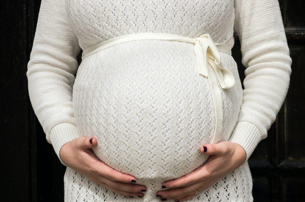 L’armoise pour la grossesse : utile ou nuisible ?