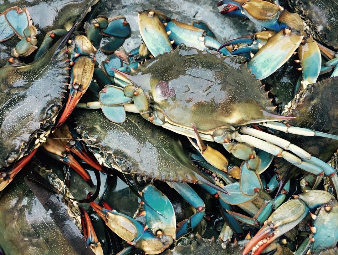 Voici les nouvelles mineures annoncées hier par Facebook à F8, notamment une plus grande confidentialité