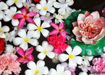 Bienfaits de l'huile d'ambre pour les cheveux