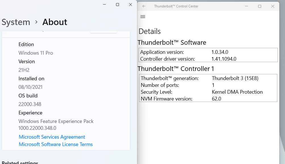Does Thunderbolt work with Windows?