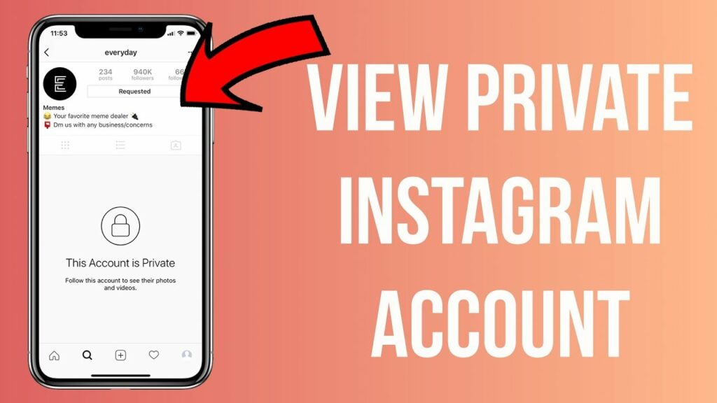 voir les comptes privés instagram