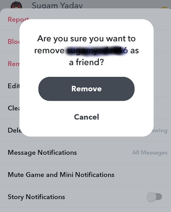 Appuyez sur Supprimer pour confirmer |  Comment supprimer (ou bloquer) des amis sur Snapchat