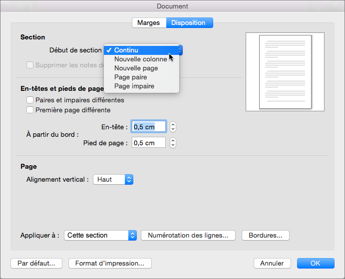 word supprimer une page vierge