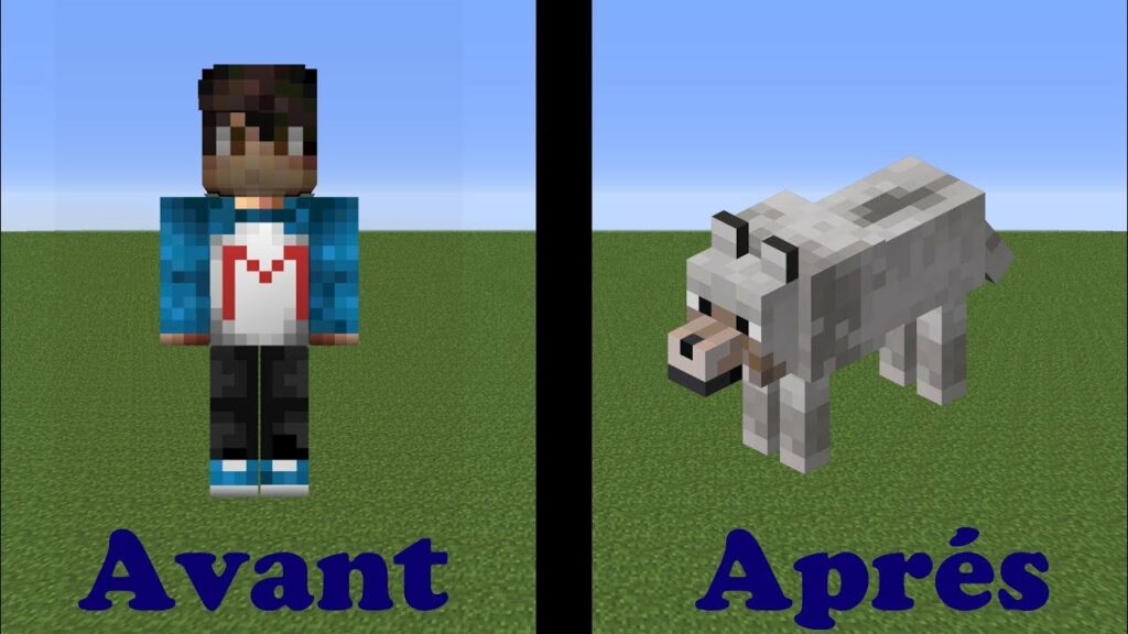 Comment se transformer en animal sur Minecraft ?