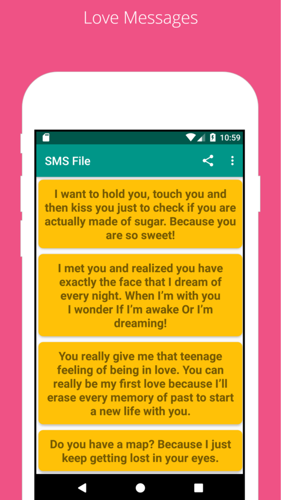 What is a SMS file?