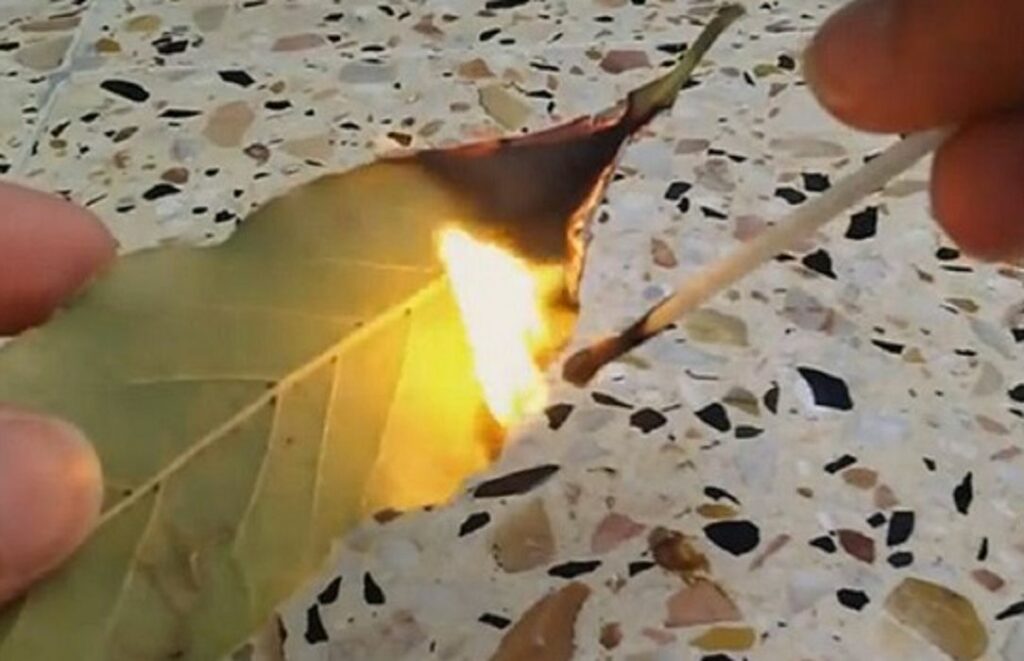 Comment faire un effet de brûler sur une feuille de papier ?