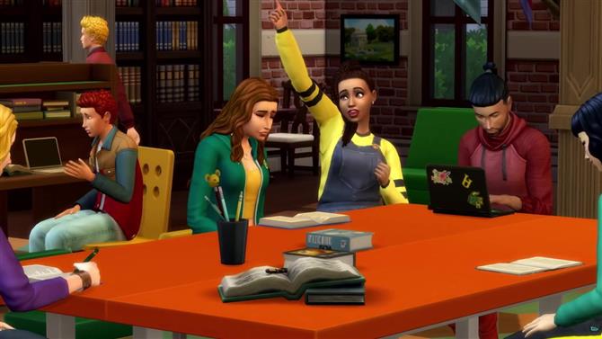 Comment remplir des rapports sur les Sims ?