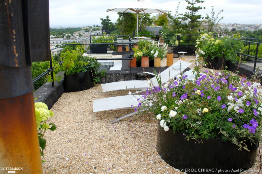 Quelles plantes sur un toit terrasse ?