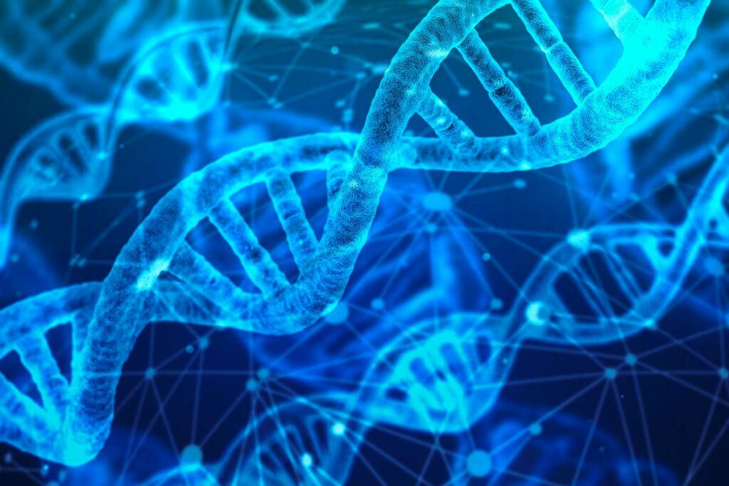 Quel est le test ADN le plus fiable ?